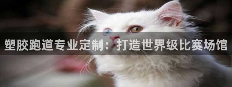 谈球吧属于哪个旗下：塑胶跑道专业定制：打造世界级比赛