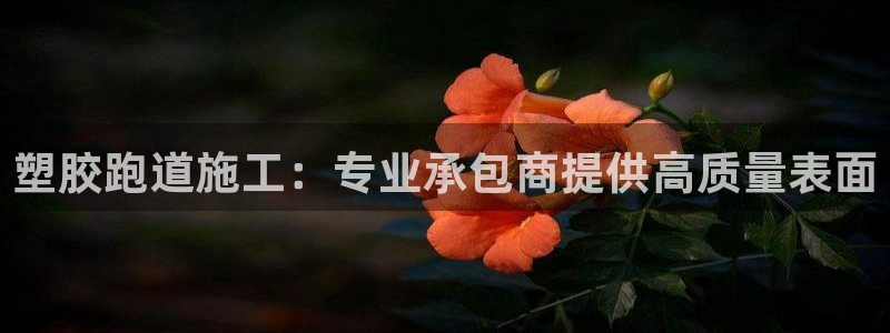 谈球吧官网登录：塑胶跑道施工：专业承包商提供高质量表面