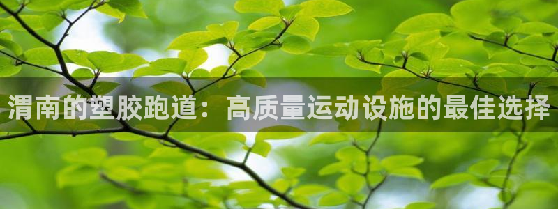 谈球吧打不开了：渭南的塑胶跑道：高质量运动设施的最佳