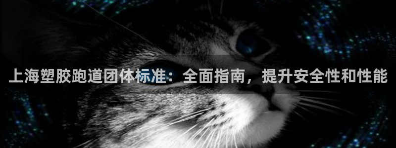 谈球吧的聊天软件：上海塑胶跑道团体标准：全面指南，提