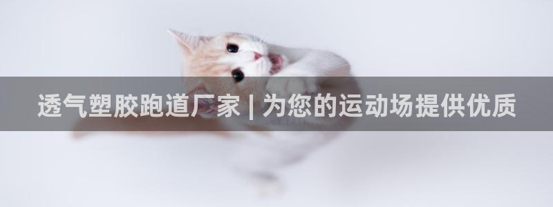 谈球吧网app官网下载：透气塑胶跑道厂家 | 为您的