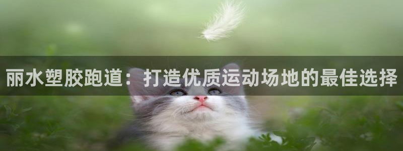 谈球吧体育app下载中心官方网站：丽水塑胶跑道：打造
