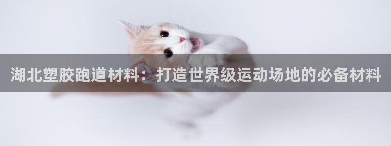 谈球吧app官方下载