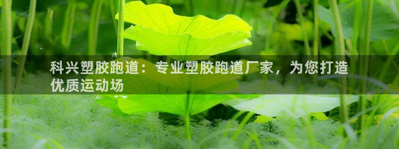 谈球吧体育app下载足球比赛直播：科兴塑胶跑道：专业