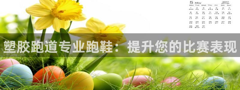 谈球吧(中国)官方网站：塑胶跑道专业跑鞋：提升您的比