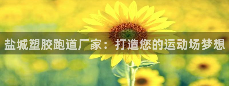 谈球吧平台正规吗可靠吗：盐城塑胶跑道厂家：打造您的运动场梦想