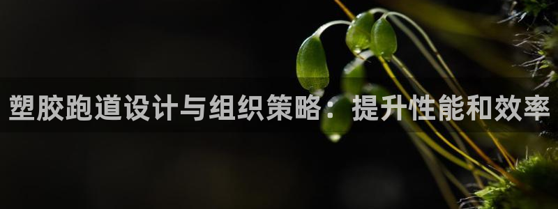 谈球吧平台正规吗可靠吗知乎：塑胶跑道设计与组织策略：