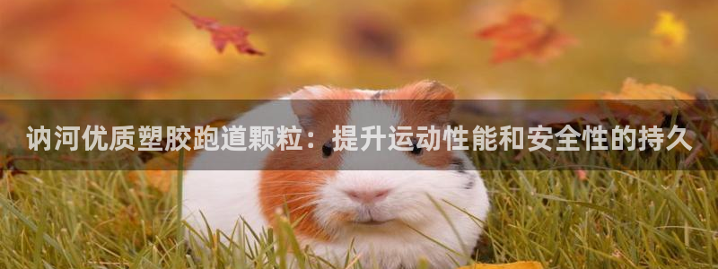 谈球吧APP：讷河优质塑胶跑道颗粒：提升运动性能和安