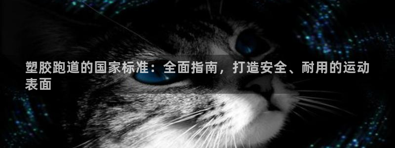 谈球吧平台正规吗：塑胶跑道的国家标准：全面指南，打造
