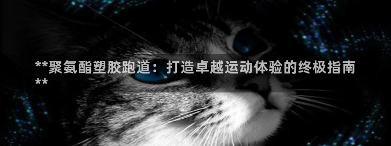 谈球吧APP入口：**聚氨酯塑胶跑道：打造卓越运动体