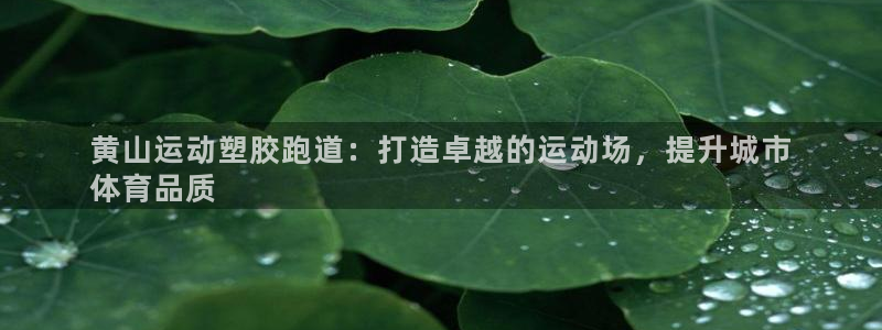 谈球吧靠谱吗：黄山运动塑胶跑道：打造卓越的运动场，提