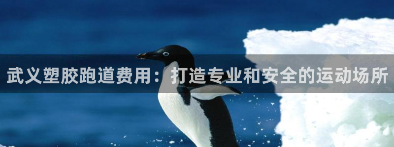 谈球吧平台正规吗可靠吗：武义塑胶跑道费用：打造专业和