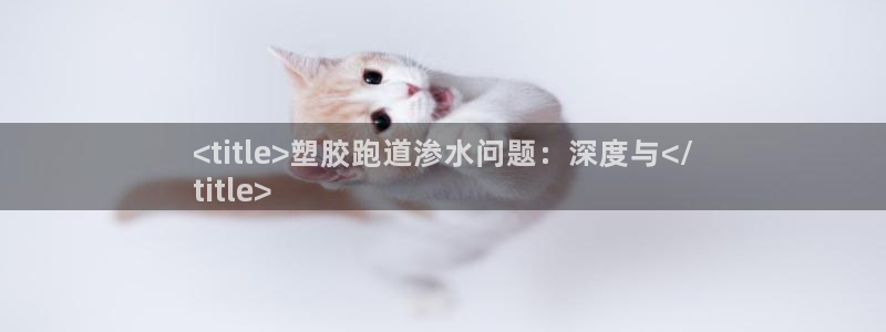 谈球吧体育app登陆入口：<title>塑胶跑道渗水问题：深