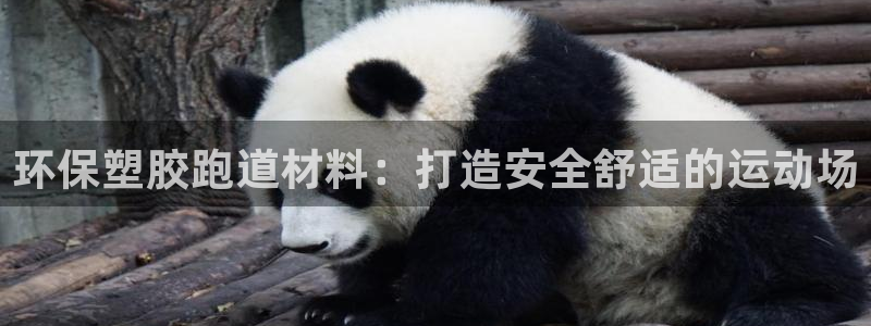 谈球吧在线观看：环保塑胶跑道材料：打造安全舒适的运动