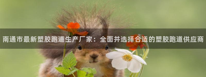 谈球吧平台正规吗