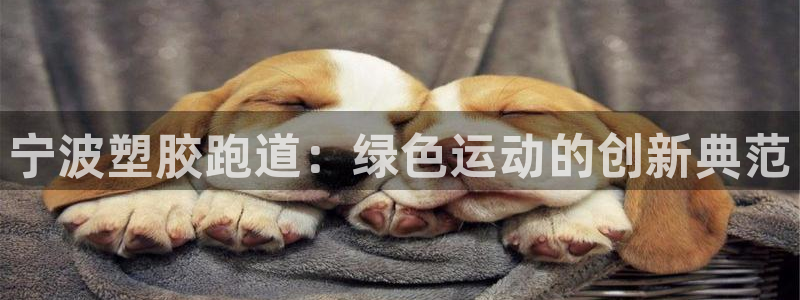 谈球吧官网在线入口免费观看视频