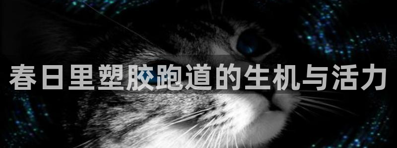 谈球吧是黑台子吗知乎