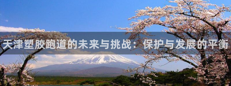 谈球吧咋样黑钱