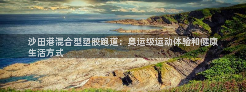 谈球吧平台正规吗可靠吗知乎：沙田港混合型塑胶跑道：奥运级运动