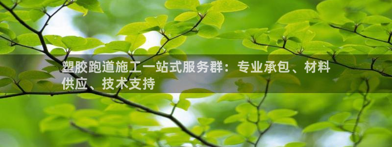 谈球吧体育app下载官网手机版苹果：塑胶跑道施工一站式服务群