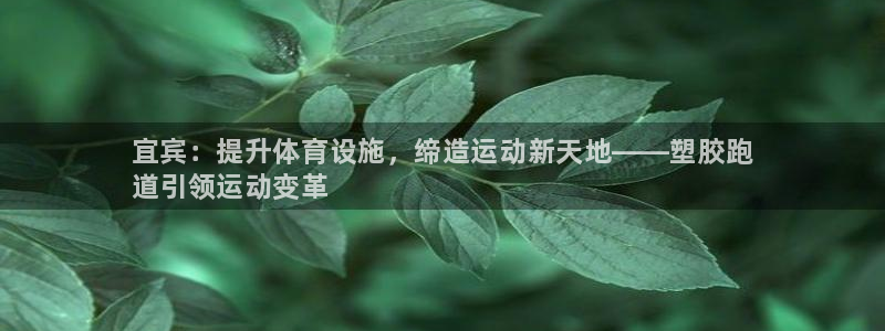 谈球吧官网在线入口手机版免费：宜宾：提升体育设施，缔造运动新天地——塑胶跑
道引领运动变革