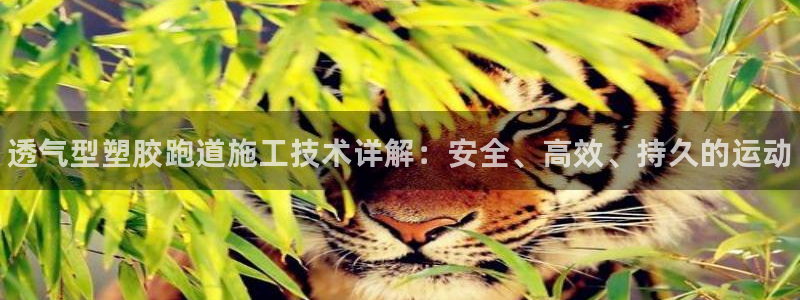 谈球吧体育app官网