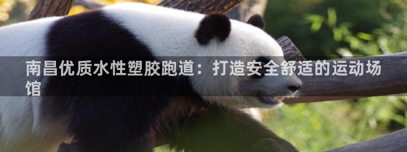 谈球吧体育app下载官网安卓：南昌优质水性塑胶跑道：