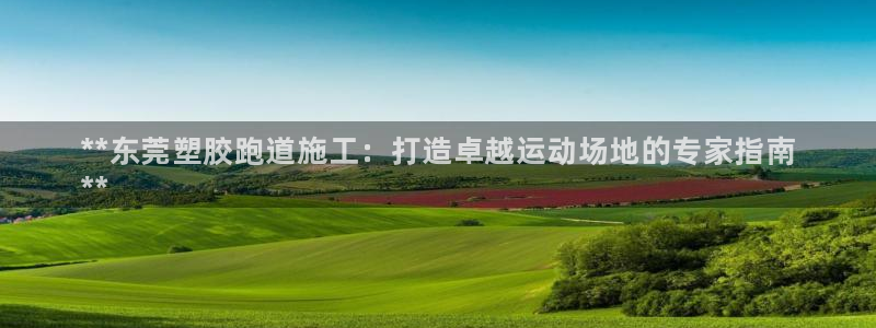 谈球吧官方网站：**东莞塑胶跑道施工：打造卓越运动场