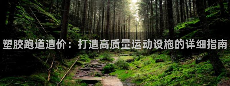 谈球吧娱乐app下载官网苹果：塑胶跑道造价：打造高质量运动设