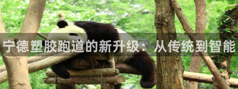 谈球吧体育赛事入口