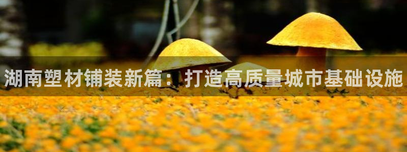 谈球吧app官网下载安卓