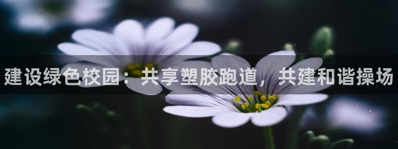 谈球吧体育app下载中心官方