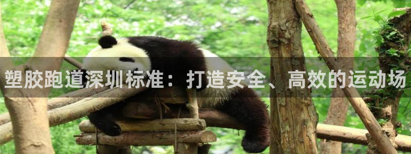 谈球吧体育app下载中心官网：塑胶跑道深圳标准：打造