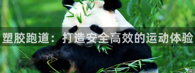 谈球吧平台正规吗可信吗：塑胶跑道：打造安全高效的运动