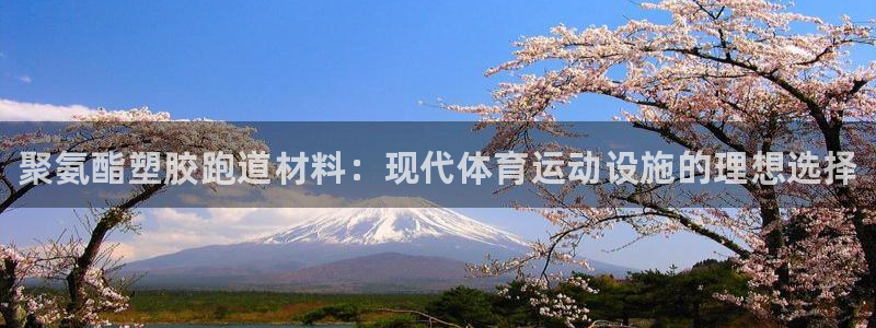 谈球吧全站app下载手机版：聚氨酯塑胶跑道材料：现代体育运动