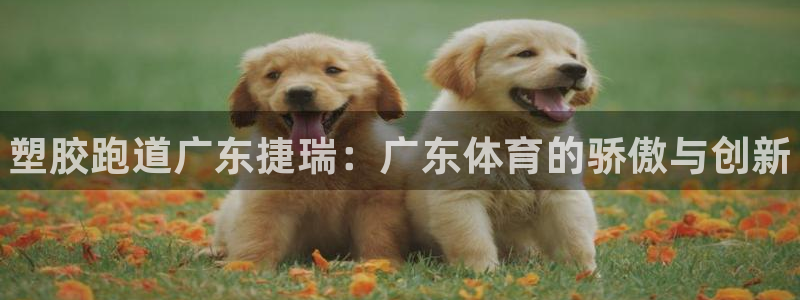 谈球吧的聊天软件是什么：塑胶跑道广东捷瑞：广东体育的骄傲与创