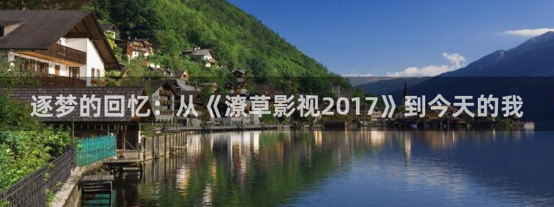 老司机在线电影