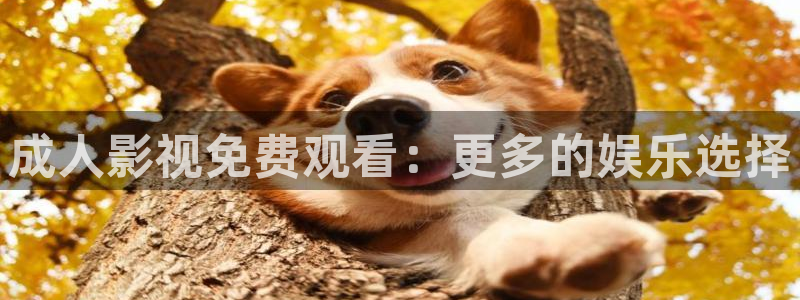 老司机在线看片：成人影视免费观看：更多的娱乐选择
