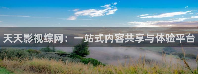 老司机电影视频网：天天影视综网：一站式内容共享与体验平台